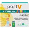 Postv Recupero Junior 14 Bustine 70 g