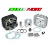 MALOSSI GRUPPO TERMICO MALOSSI GILERA EASY MOVING 50 2T 316926