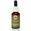 Australian Bush Flower Emergency Essence 30 ml