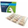 AVICENNA Gavispet Cpr Appetib 30