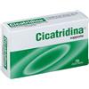 Cicatridina Supposte 10 Pezzi