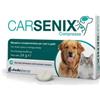 SHEDIR Carsenix 30 Compresse