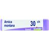 BOIRON Arnica Montana 30Ch Diluizione Hahnemanniana Centesimale In Globuli