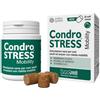 CONDROGEN Condrostress® Mobility 30 Soft Chews