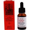 Ts24 Ginkgo Biloba 20 ml