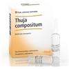 GUNA Thuja Compositum 10 Fiale Da 2,2 ml L'Una