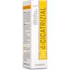 BIODUE Cicatrizial Pharcos 25G