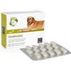 CAMON Orme Naturali Condrosalus 60 Compresse