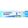 BOIRON Lycopodium Clavatum 9 Ch 80 Gr