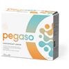 Pegaso Pigro Junior 14 Bustine Da 1,5 G