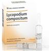 GUNA Heel Lycopodium Compositum 10 Fiale Da 2,2 ml L'Una