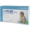 Amflee 268Mg Spoton Cani Da 2040Kg Krka 3 Pipette