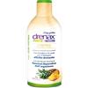 Drenax Forte Ananas 500 Ml