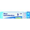 Boiron Rhus Toxicodendron 9CH 80 gr 4 g