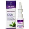 Rhinodoron Spr Nas Aloe Vera