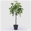 EDG Enzo De Gasperi Acero con Vaso Artificiale H 76 Cm Green