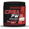EUROSUP CREA PW CREAPURE 300GR