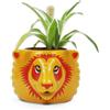 Half Moon Bay - Harry Potter- Plant Pot - Gryffindor