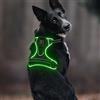 Colaseeme Pettorina luminosa per cani, Colaseeme Light con strisce riflettenti e pettorina regolabile, luce LED ricaricabile per cani di taglia piccola, media e grande (verde, XS)