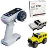 NBJIALIN LDARC Mini RC Crawler in scala 1:43 RTR RC Rock Truck 4x4 2,4 GHz Modello di auto telecomandata per hobby RC Buggy, con carrozzeria sostituibile fai da te (giallo)