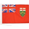 AZ FLAG Bandiera Ontario 45x30 cm - Bandierina Canadese - Canada 30x45 cm Cordicelle