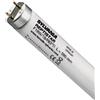 SYLVANIA F36W REPTISTAR UV-B 10%