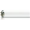 PHILIPS Actinic BL TL 40W/10 SLV/25