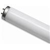 NARVA F40W G13 T12 2FT BL368 - C77K/U002