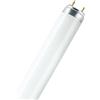 LEDVANCE L 18W/965 25X1 LF OSRAM