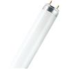 LEDVANCE L 18W/77 10X1 OSRAM
