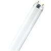 LEDVANCE L 30W/76 10X1 OSRAM