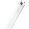LEDVANCE L 18W/940 25X1 LF OSRAM