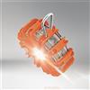 OSRAM Luce di segnalazione LED Osram LED guardian LEDSL302