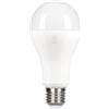 GE LIGHTING 14W 220-240V E27 1100lm 2700K GLS DIM FROSTED