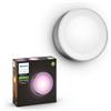PHILIPS Daylo Hue WACA wall lantern inox 1x15W