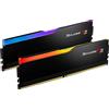 G.Skill Ripjaws M5 RGB F5-5200J4040A48GX2-RM5RK memoria 96 GB 2 x 48 DDR5 5200 MT/s 288-pin DIMM [F5-5200J4040A48GX2-RM5RK]