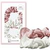 townssilk Seta Scrunchie - Set da 2 pezzi, 100% seta di gelso 6 A/22 Momme, con struttura delicata, certificato Oeko-Tex, delicato sui capelli e voluminoso, elastico senza impronte. Rosa e bianco