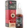 TiggyPet Tiggy Pet - Allevia - CBD+CBG con Mircene ed Estratto di Artiglio del Diavolo 5%