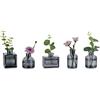Glasseam Piccolo Vaso per Fiori: Vasi di Vetro per Decorazioni Set di 5 Vasi Grigi per Casa Centrotavola Matrimonio Festa Soggiorno Tavolo Decorazioni - Mini Vaso per Taglio Pianta Fiore