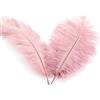 Duories 10 piume di struzzo naturali,20-25 cm,per fai da te,per acchiappasogni,accessori fai da te,decorazione per la casa,costumi,decorazione da tavolo,matrimoni,feste,cappelli,vestiti,rosa antico
