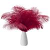 PATIKIL 8-10 Pollici(20-25cm) Piume di Struzzo, 30pz Piume Struzzo Artificiali Naturali Rinfusa per Decorazioni Centrotavola Feste Matrimonio Artigianato Borgogna (6 Larghezza)