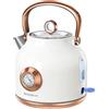 NESSGRAIM Bollitore retrò, bollitore da 1,7 l, in acciaio inox, con grande indicatore di temperatura, 2200 W, riscaldamento rapido con indicatore LED, spegnimento automatico (bianco), K59-B