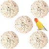 HIXNUG 5 giocattoli naturali per uccelli Sola palline di legno triturazione piede pappagallo giocattoli per piccoli animali domestici Budgie Cockatiel Lovebird Parrotlet