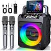 Dislocati Karaoke con Microfono, Karaoke Professionale Completo Portatile Bluetooth per Adulti Bambini con 2 Microfoni Senza Fili, Luci LED, TWS, AUX/USB, Cassa Bluetooth 5.3 Potente, 12 Ore, Regali