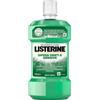 Listerine - Collutorio Denti & Gengive Confezione 80 Ml
