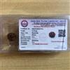 CERTIFICATO LABORATORIO 7 Mukhi RUDRAKSHA Saatmukhi Rudraksh 7 Face Rudraksha...