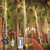 Flintronic Luci Cascata, 200LED Luci Solari Esterno, 8 Modalità Luci Solari, IP65 Impermeabili Luci Decorative Stringa per Giardino, Cortile, Patio, Matrimonio, Natale, Bianco Caldo