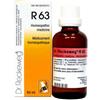 DR.RECKEWEG Dr. Reckeweg R63 Gocce Omeopatiche 22 ml