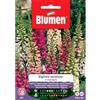 Blumen digitale excelsior in miscuglio