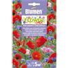 Blumen miscuglio di fiori per scarpate e zone difficili